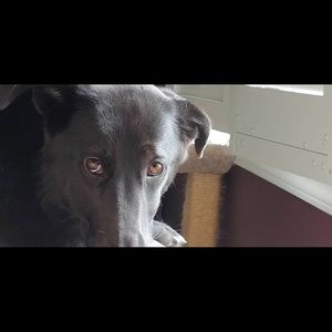 Meet your Posher, Scott